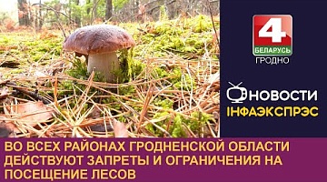 <b>Новости Гродно. 09.09.2024</b>. Во всех районах Гродненской области действуют запреты и ограничения на посещение лесов