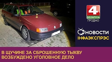 <b>Новости Гродно. 03.09.2024</b>. В Щучине за сброшенную тыкву возбуждено уголовное дело