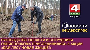 <b>Новости Гродно. 28.10.2024</b>. Молодые деревья в Зельвенском районе высадили работники Гродненского облисполкома