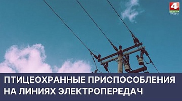 <b>Новости Гродно. 15.04.2022</b>. Птицеохранные приспособления на линиях электропередач