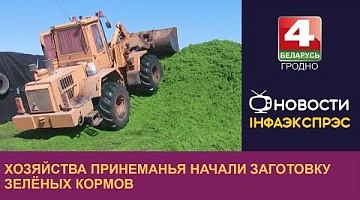 <b>Новости Гродно. 15.05.2024</b>. Хозяйства Принеманья начали заготовку зелёных кормов