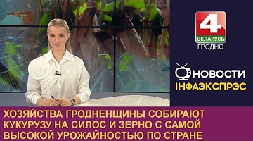 <b>Новости Гродно. 19.09.2024</b>. Хозяйства Гродненского района ведут уборку кукурузы на силос