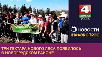 <b>Новости Гродно. 15.04.2024</b>. Три гектара нового леса появилось в Новогрудском районе
