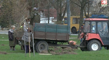 <b>Новости Гродно. 28.04.2021</b>. Парк семейных деревьев в Гродно пополнился молодыми клёнами