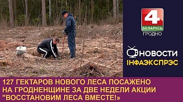 <b>Новости Гродно. 08.04.2024</b>. 127 га нового леса посажено на Гродненщине за две недели акции "Восстановим леса вместе!»
