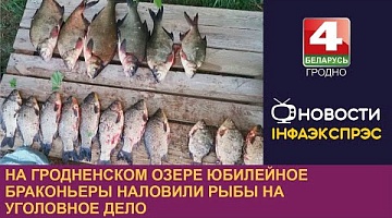 <b>Новости Гродно. 22.05.2023</b>. На гродненском озере Юбилейное браконьеры наловили рыбы на уголовное дело