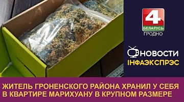 <b>Новости Гродно. 18.09.2024</b>. Житель Гроненского района хранил у себя в квартире марихуану в крупном размере