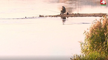 <b>Новости Гродно. 16.11.2020</b>. Полтонны рыбы выпустили в озеро Юбилейное