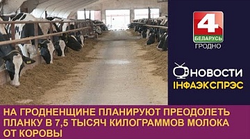 <b>Новости Гродно. 02.05.2024</b>. На Гродненщине планируют преодолеть планку в 7,5 тысяч килограммов молока от коровы