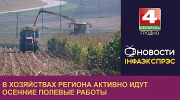 <b>Новости Гродно. 30.09.2024</b>. В хозяйствах региона активно идут осенние полевые работы