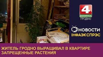 <b>Новости Гродно. 23.09.2022</b>. Житель Гродно выращивал в квартире запрещенные растения