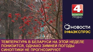 <b>Новости Гродно. 11.11.2024</b>. Температура в Беларуси на этой неделе понизится, однако зимней погоды синоптики не прогнозируют