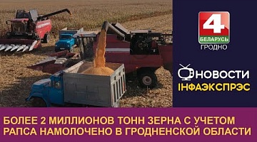 <b>Новости Гродно. 19.10.2023</b>. Более 2 миллионов тонн зерна с учетом рапса намолочено в Гродненской области