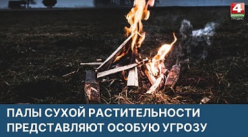 <b>Новости Гродно. 30.03.2022</b>. Палы травы приводят к пожарам