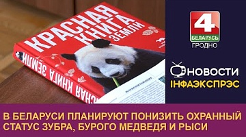 <b>Новости Гродно. 30.08.2024</b>. В Беларуси планируют понизить охранный статус зубра, бурого медведя и рыси