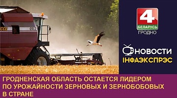 <b>Новости Гродно. 02.08.2024</b>. Гродненская область остается лидером по урожайности зерновых и зернобобовых в стране