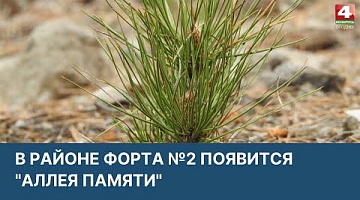 <b>Новости Гродно. 04.04.2022</b>. Республиканская акция "Неделя леса"
