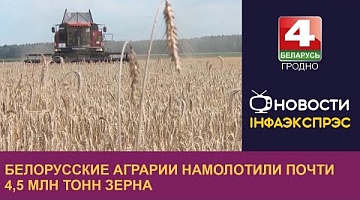 <b>Новости Гродно. 12.08.2022</b>. Белорусские аграрии намолотили почти 4,5 млн тонн зерна