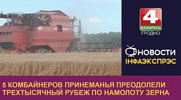 <b>Новости Гродно. 19.08.2022</b>. 5 комбайнеров Принеманья преодолели трехтысячный рубеж по намолоту зерна