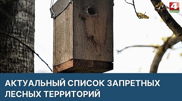 <b>Новости Гродно. 31.03.2022</b>. Актуальный список запретных лесных территорий