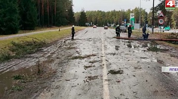 <b>Новости Гродно. 14.01.2022</b>. Последствия ветра на территории Гродненской области