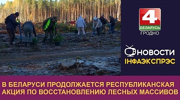 <b>Новости Гродно. 21.10.2024</b>. В Беларуси продолжается республиканская акция по восстановлению лесных массивов