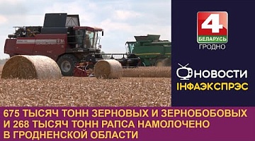 <b>Новости Гродно. 24.07.2024</b>. 675 тысяч тонн зерновых и зернобобовых и 268 тысяч тонн рапса намолочено в Гродненской области