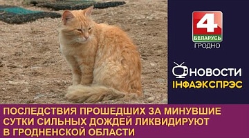 <b>Новости Гродно. 21.08.2024</b>. Последствия прошедших за минувшие сутки сильных дождей ликвидируют в Гродненской области