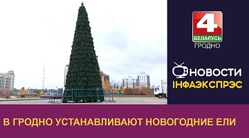 <b>Новости Гродно. 31.10.2024</b>. В Гродно устанавливают новогодние ели