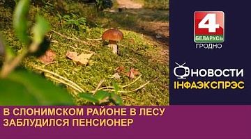 <b>Новости Гродно. 13.08.2024</b>. В Слонимском районе в лесу заблудился пенсионер