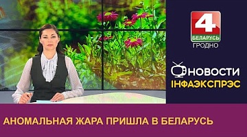 <b>Новости Гродно. 11.07.2024</b>. Аномальная жара пришла в Беларусь