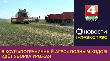 <b>Новости Гродно. 12.07.2024</b>. В КСУП «Пограничный-Агро» полным ходом идёт уборка урожая