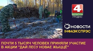 <b>Новости Гродно. 05.11.2024</b>. Почти 5 тысяч человек приняли участие в акции "Дай лесу новае жыццё"