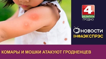 <b>Новости Гродно. 12.06.2024</b>. Комары и мошки атакуют гродненцев