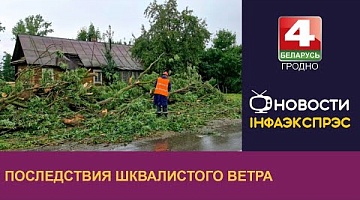 <b>Новости Гродно. 29.07.2024</b>. Последствия шквалистого ветра