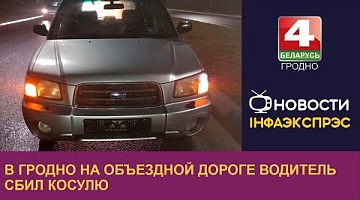 <b>Новости Гродно. 16.02.2023</b>. В Гродно на объездной дороге водитель сбил косулю