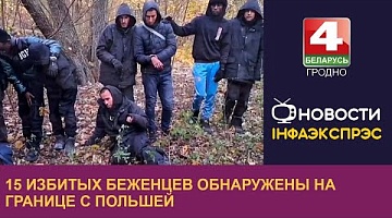 <b>Новости Гродно. 29.10.2024</b>. 15 избитых беженцев обнаружены на границе с Польшей