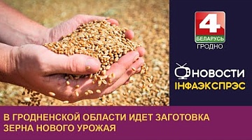 <b>Новости Гродно. 01.08.2024</b>. В Гродненской области идет заготовка зерна нового урожая