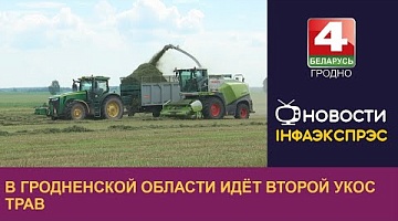 <b>Новости Гродно. 08.07.2024</b>. В Гродненской области идёт второй укос трав