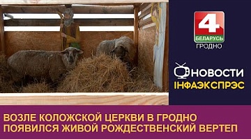 <b>Новости Гродно. 08.01.2025</b>. Возле Коложской церкви в Гродно появился живой рождественский вертеп