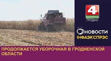 <b>Новости Гродно. 07.08.2024</b>. Продолжается уборочная в Гродненской области