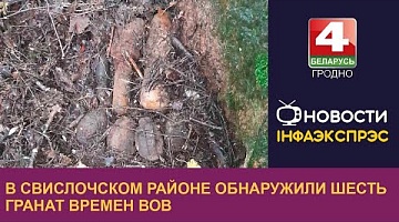 <b>Новости Гродно. 05.10.2022</b>. В Свислочском районе обнаружили шесть гранат времен ВОВ
