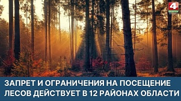 <b>Новости Гродно. 30.03.2022</b>. Обновлен список районов, где действует запрет на посещение лесов