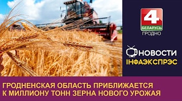<b>Новости Гродно. 26.07.2024</b>. Гродненская область приближается к миллиону тонн зерна нового урожая