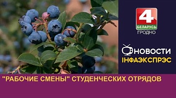 <b>Новости Гродно. 13.08.2024</b>. "Рабочие смены" студенческих отрядов