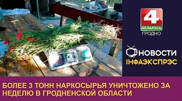 <b>Новости Гродно. 20.06.2024</b>. Более 3 тонн наркосырья уничтожено за неделю в Гродненской области