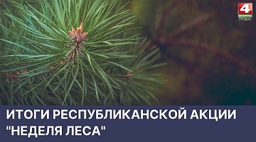 <b>Новости Гродно. 21.04.2022</b>. Итоги республиканской акции "Неделя леса"