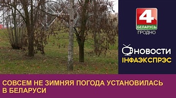 <b>Новости Гродно. 18.12.2024</b>. Совсем не зимняя погода установилась в Беларуси