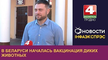 <b>Новости Гродно. 18.10.2024</b>. В Беларуси началась вакцинация диких животных