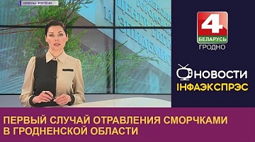 <b>Новости Гродно. 12.05.2023</b>. Первый случай отравления сморчками в Гродненской области